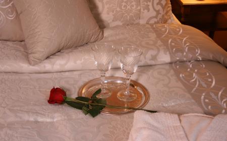 Wine glasses and a rose